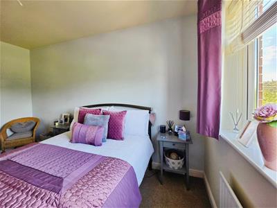 Picture 24